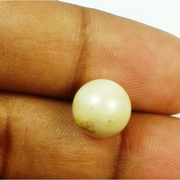 6.71 Carats Natural Creamish White Pearl 9.76 x 9.71 mm