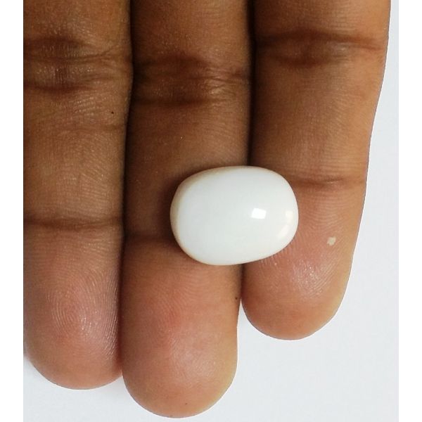 17.50 Carats Natural White Coral 17.22 x 13.30 x 8.25 mm