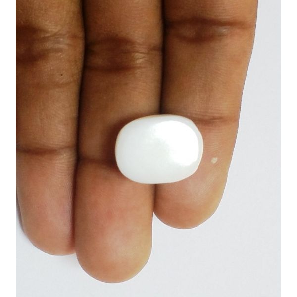 17.50 Carats Natural White Coral 17.22 x 13.30 x 8.25 mm