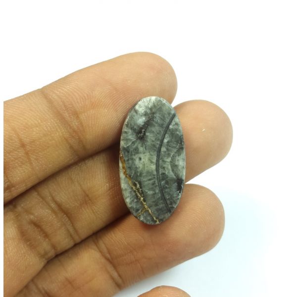 13.86 Carats Natural Corn fossil Oval Shaped 24.60x12.75x5.23 mm