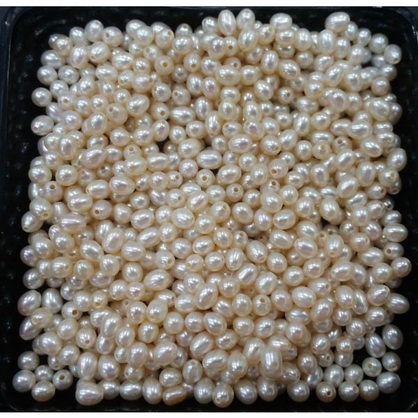 Button Shaped Fresh Water Pearl Undrilled 115/120_22
