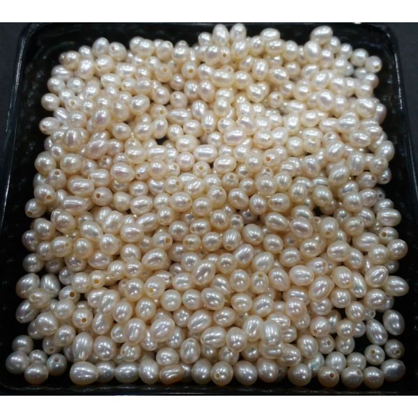 Button Shaped Fresh Water Pearl Undrilled 110/115_24