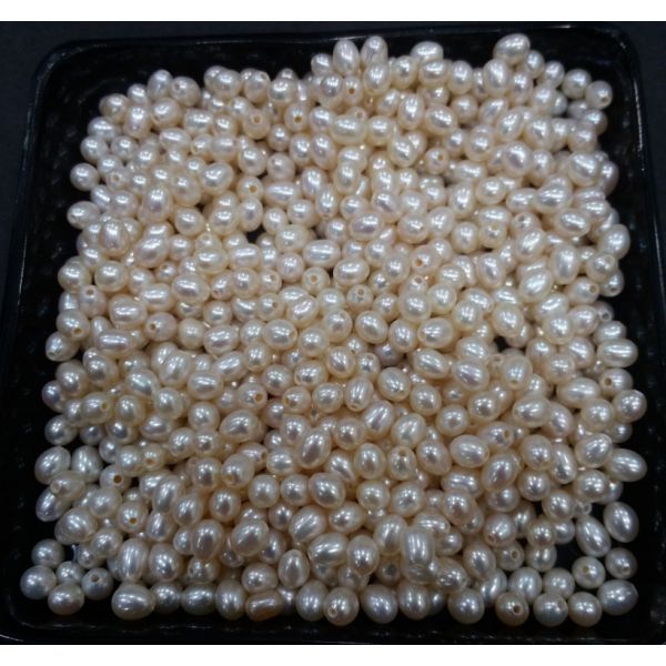 Button Shaped Fresh Water Pearl Undrilled 115/120_22