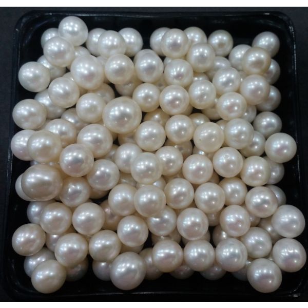 Round Shaped Fresh Water Pearl Half drilled 130/140_20