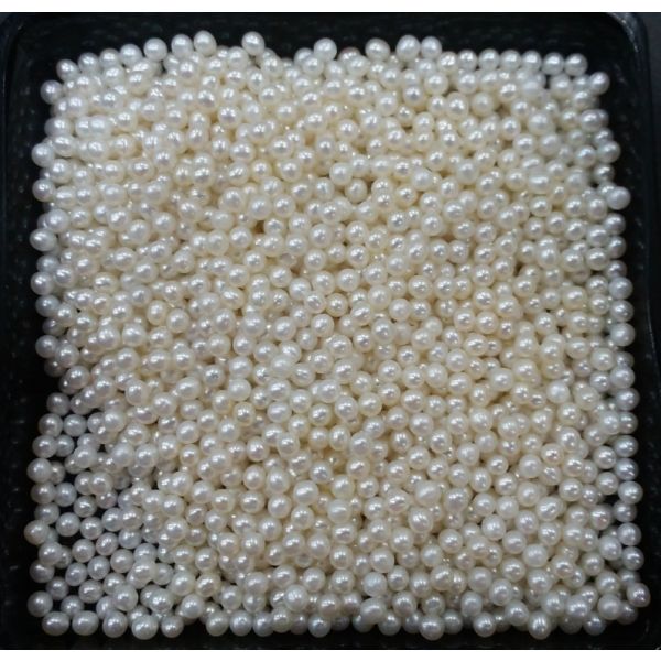 Round Shaped Fresh Water Pearl Undrilled 140/150_19