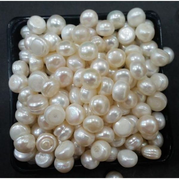 Button Shaped Fresh Water Pearl Undrilled 103.2_31.1