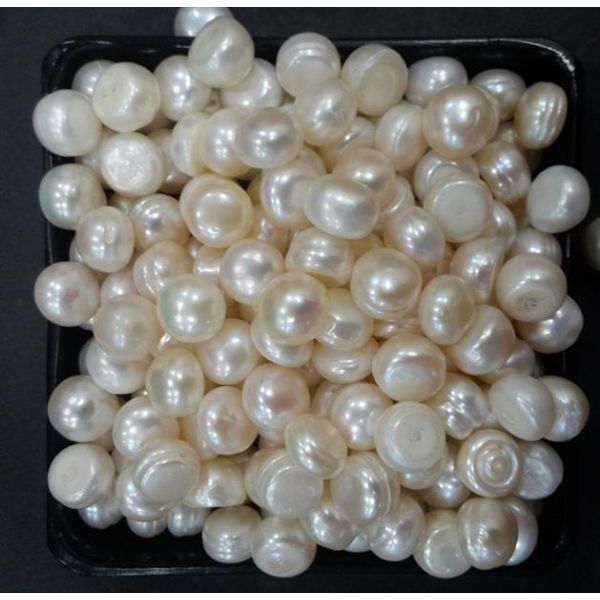 Button Shaped Fresh Water Pearl Undrilled 103_33.1
