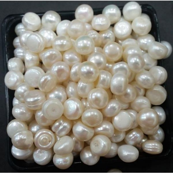 Button Shaped Fresh Water Pearl Undrilled 103.2_29.1