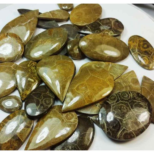 100 % Natural Morocco Fossil Coral Wholesale Lot Gemstone 
