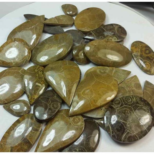 100 % Natural Morocco Fossil Coral Wholesale Lot Gemstone 