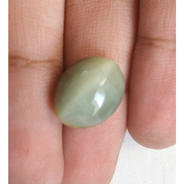 8.50 Carats Natural  Cat's Eye13.93x11.18x7.57 mm