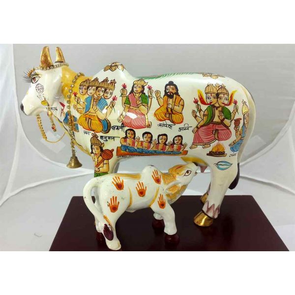 Kamdhenu Cow White Color with Calf Good Quality