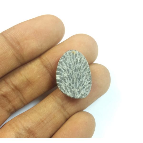 13.86 Carats Natural Colus fossil Fancy Shaped 19.58x12.99x5.53 mm