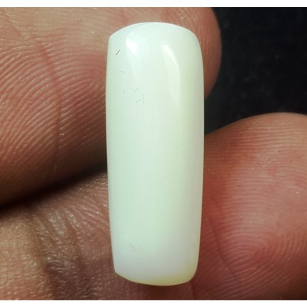 5.85 Carats Natural White Coral 18.40 x 6.80 x 5.96 mm