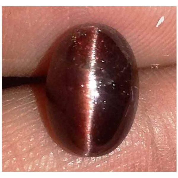 3.32 Carats Natural Spectrolite Cats Eye Oval Shaped Excellent Quality Gemstone