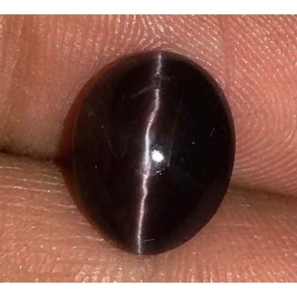 3.46 Carats Natural Spectrolite Cats Eye Oval Shaped Excellent Quality Gemstone