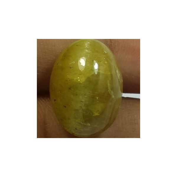 15.34 Carats Natural Apatite Cats Eye Oval Shape 16.25 x 12.09 x 9.24 mm