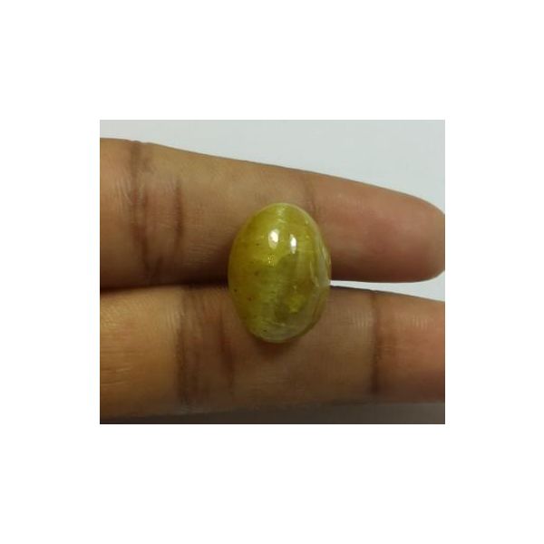 15.34 Carats Natural Apatite Cats Eye Oval Shape 16.25 x 12.09 x 9.24 mm