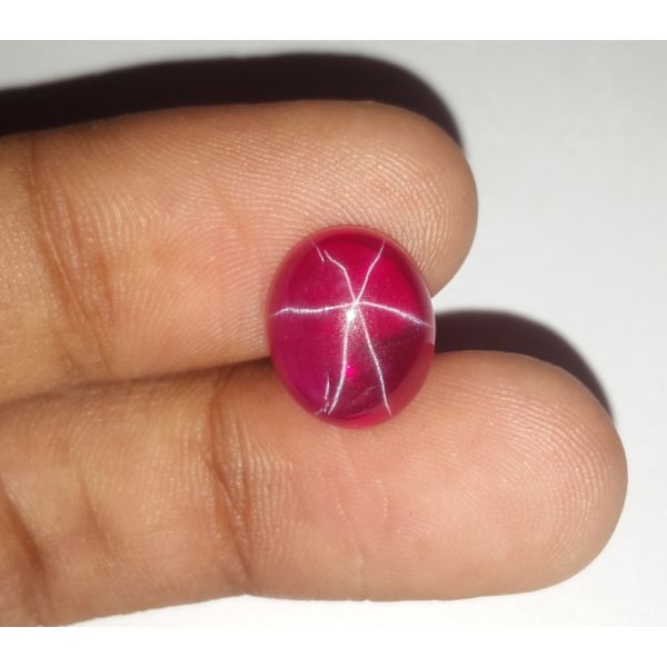 7.57 Carats Six Rays Star Ruby Oval Shaped 12.03x9.93x5.34 mm