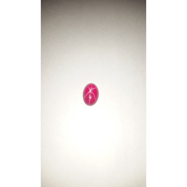 8.34 Carats Six Rays Star Ruby Oval Shaped 13.95x10.10x5.10 mm