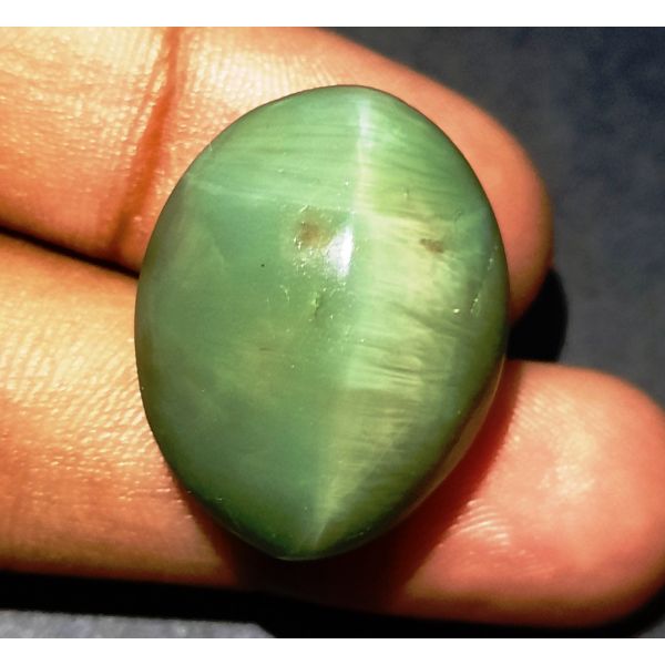 41.10 Carats Natural Green Cat's Eye 24.30x19.42x12.24 mm