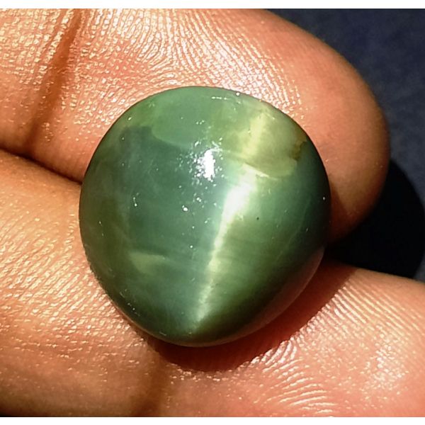 19.30 Carats Natural Green Cat's Eye 16.86x16.20x10.36 mm