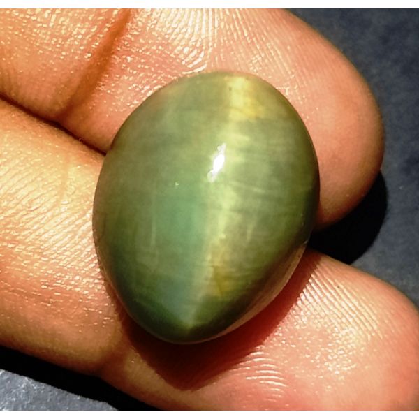 25.78 Carats Natural Green Cat's Eye 19.02x15.31x12.65 mm