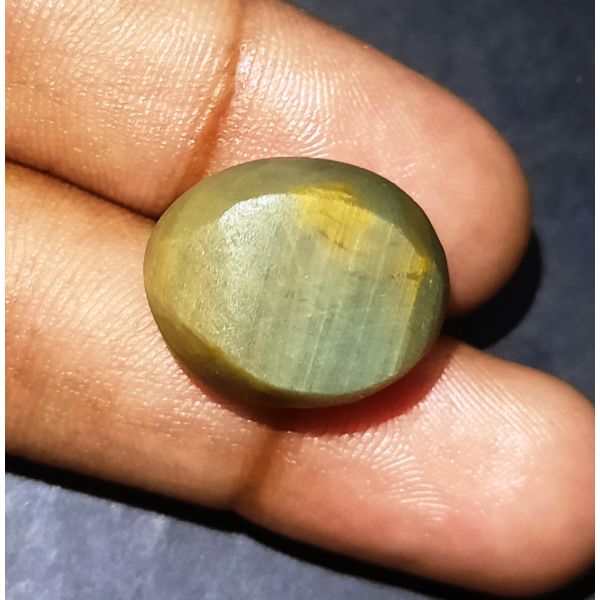 25.78 Carats Natural Green Cat's Eye 19.02x15.31x12.65 mm