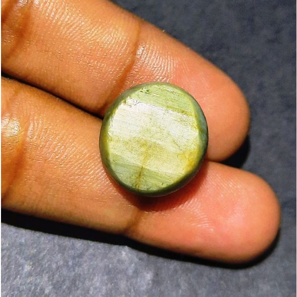 19.05 Carats Natural Green Cat's Eye 16.89x15.44x10.63 mm