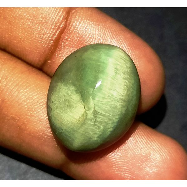 25.95 Carats Natural Green Cat's Eye 20.48x16.86x10.58 mm