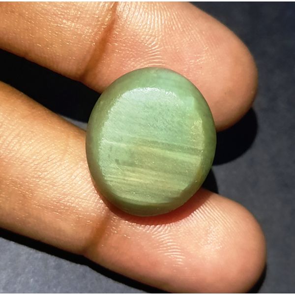 27.53 Carats Natural Green Cat's Eye 19.44x16.74x12.48 mm