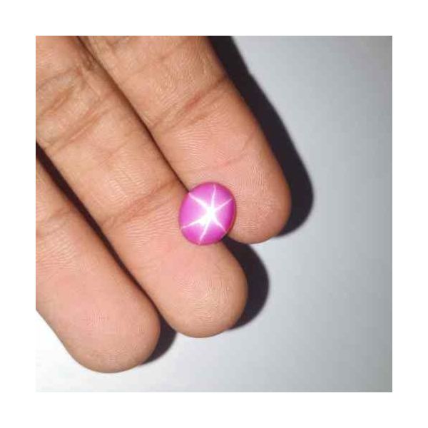 4.49 Carats Star Ruby 10.30 x 8.60 x 3.92 mm