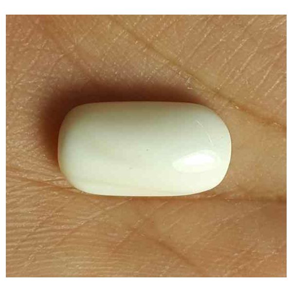 7.68 Carat Italian White Coral 16.14 X 8.81 X 5.78 mm