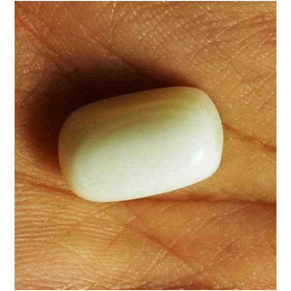 17.08 Carat Italian White Coral 16.40 X 9.88 X 10.10 mm