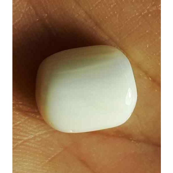 12.62 Carat Italian White Coral 13.51 X 11.31 X 8.57 mm