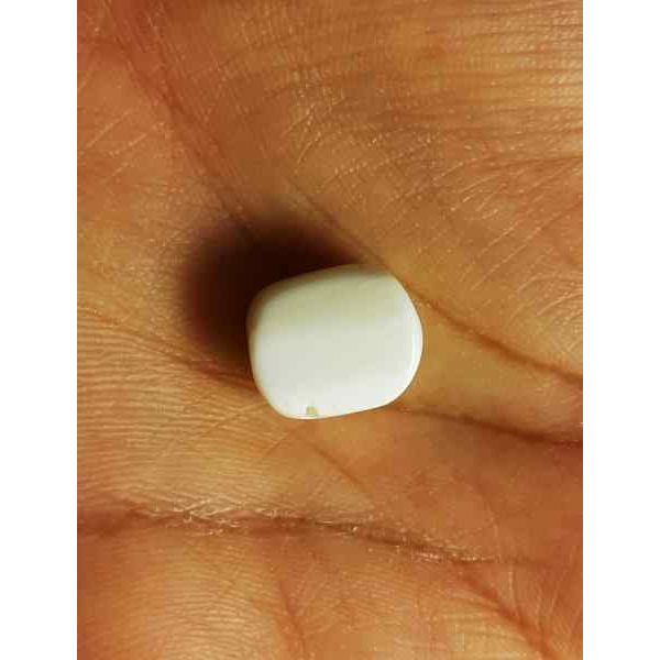 12.62 Carat Italian White Coral 13.51 X 11.31 X 8.57 mm