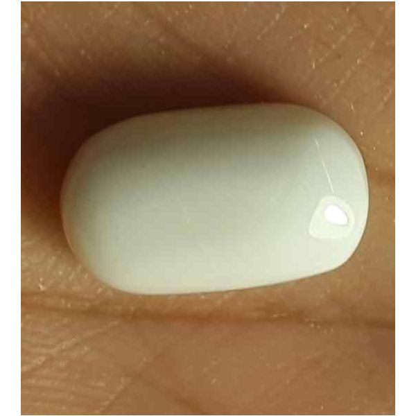 8.72 Carat Italian White Coral 15.36 X 9.05 X 6.52 mm