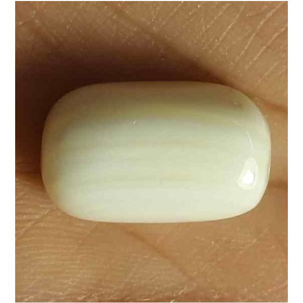 24.97 Carat Italian White Coral 19.53 X 11.65 X 10.38 mm