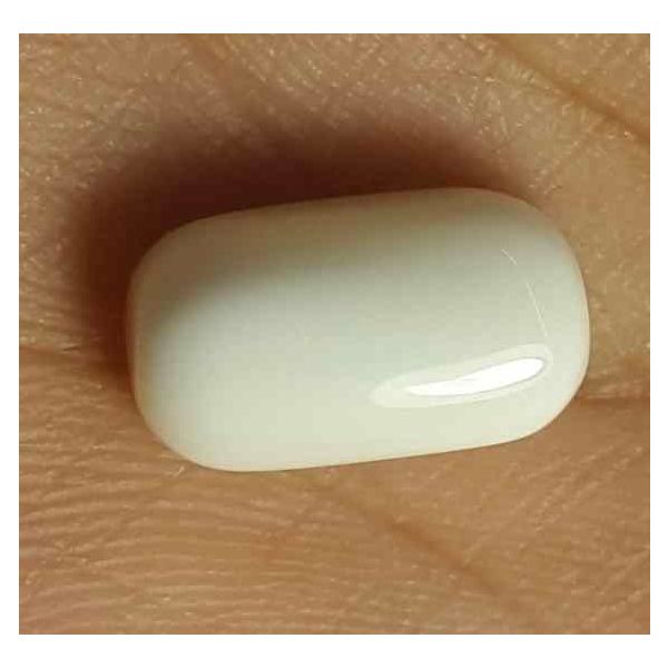 8.62 Carat Italian White Coral 14.07 X 8.38 X 6.74 mm