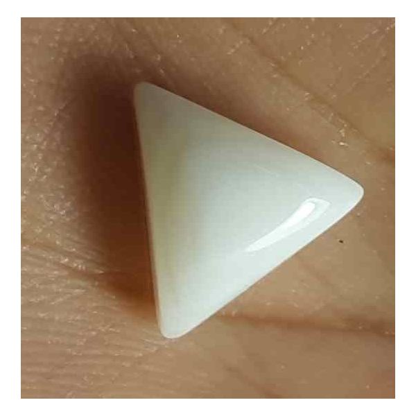 7.63 Carat Italian White Coral 15.84 X 14.00 X 5.95 mm