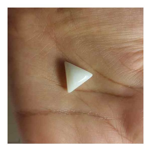 7.63 Carat Italian White Coral 15.84 X 14.00 X 5.95 mm