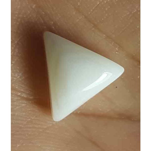 12.17 Carat Italian White Coral 16.42 X 14.34 X 8.23 mm