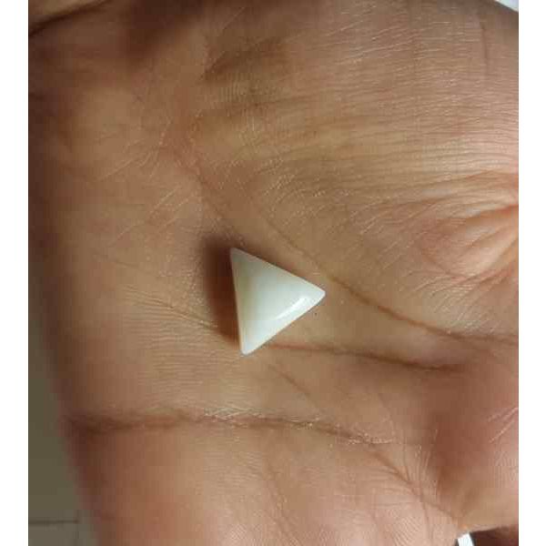 12.17 Carat Italian White Coral 16.42 X 14.34 X 8.23 mm