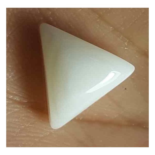 7.72 Carat Italian White Coral 16.28 X 14.34 X 5.41 mm