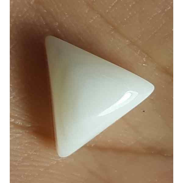 7.52 Carat Italian White Coral 16.38 X 14.56 X 5.04 mm