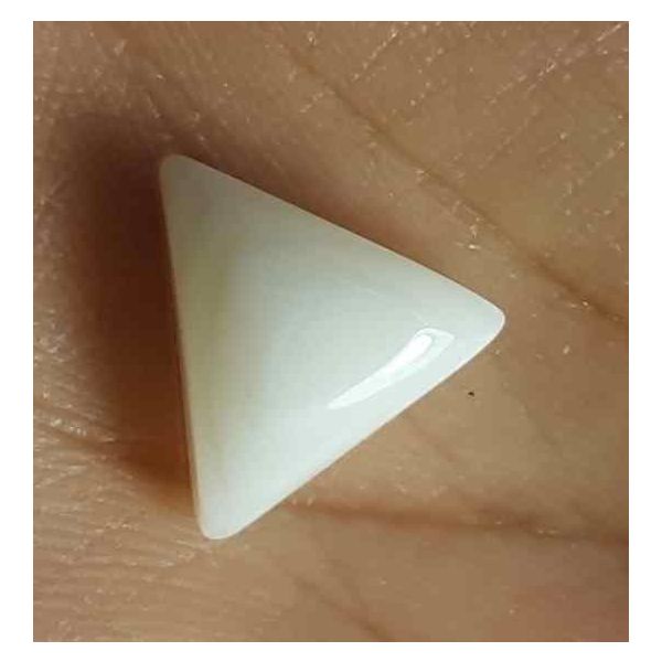 7.82 Carat Italian White Coral 15.22 X 13.93 X 5.91 mm