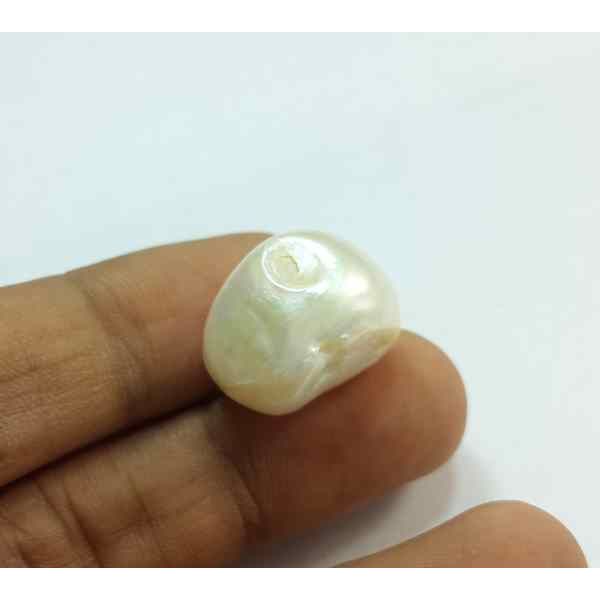 31.00 Carat Venezuela Pearl 19.10 X 14.52 X 13.55 mm