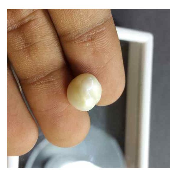 5.92 Carat Venezuela Pearl 10.28 X 10.00 X 8.65 mm'