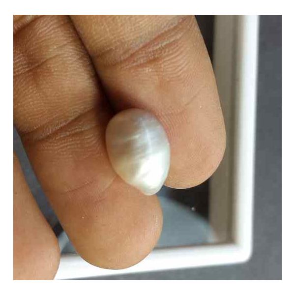 5.67 Carat Venezuela Pearl 12.85 X 8.88 X 7.36 mm