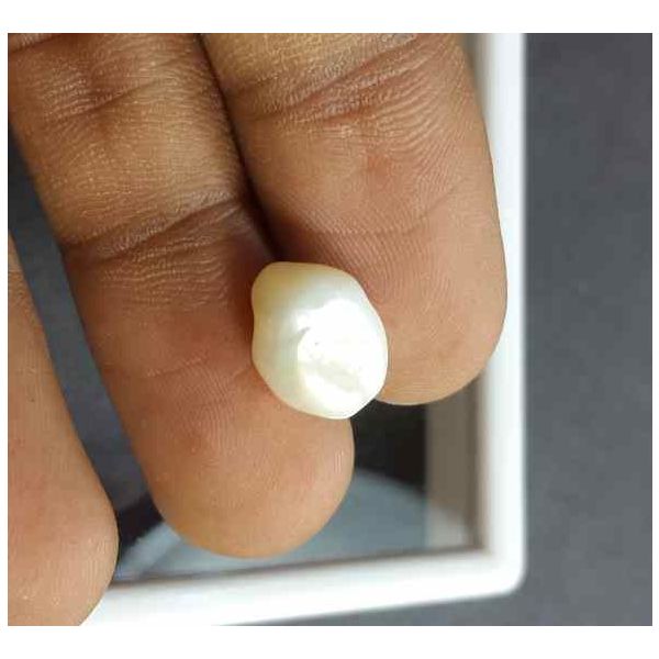 4.87 Carat Venezuela Pearl 11.65 X 8.57 X 7.93 mm